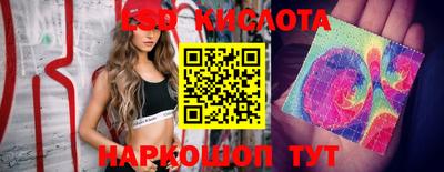 эйфоретик Камышлов