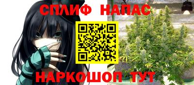 mdpv Кандалакша