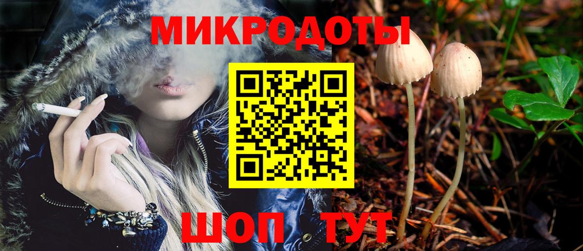 Аксай  сколько стоит  Вход с VPN  Псилоцибиновые грибы Psilocybe 
